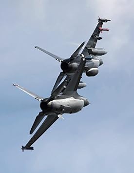 Danish F-16A and F-16B in formation Poster Print by Timm ZiegenthalerStocktrek Images 11 x 17