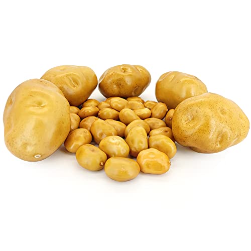35 Pcs Artificial Potato Lifelike Fake Vegetable Party Decoration Home Kitchen Photography Model Foam Decoration Simulation （5 Potatoes And 30 Mini Potatoes） #TOP4