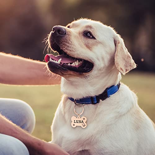 JATEBI Personalized Pet ID Tags, Stainless Steel Dog Tags,Custom Bone&Hollowed Paw Shaped Engraved Dog Name, Label, Address & Phone, Customizable on Both Sides(Rosegold,M) - Thumbnail 6