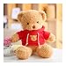 WMYWBYT Oso De Peluche De Dibujos Animados Juguetes De Peluche con Corazón De Suéter, Muñeco De Peluche Suave Y Esponjoso Animal Oso De Oso Abrázame, Cumpleaños para Niños 30Cm 09