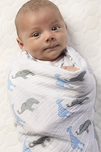 Image of SwaddleDesigns Marquisette Receiving Swaddle Blanket for Baby Boys & Girls, Soft Premium Cotton Muslin, Best Shower Gift, Blue Safari Fun, Parent Picks Award Winner
