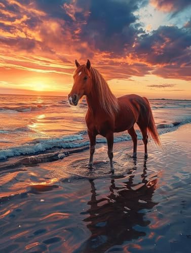 Broderie diamant kit complet 40x50cm avec motif de cheval sur la plage