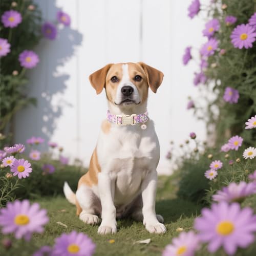 DOGWONG Flower Dog Collar, Girl Daisy Dog Collar Durable Ice Cream Pet Dog Collars Cute Summer Beach Puppy Necklace for Small Medium Large Dogs - Image 5