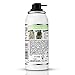 L'Oréal Paris Colorista Spray 1-Day Color Colorazione Temporanea un Giorno, Menta (Mint)
