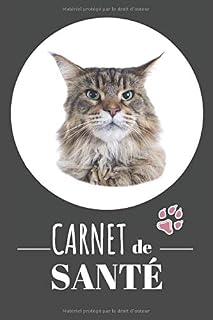 Amazon Fr Carnet De Sante Amazon Fr Carnet De Sante