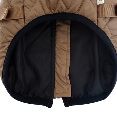 Qtheute(NeEe) ~pg ^p ybg qp hpWPbg ` t`uhbO R[g xXg M