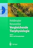 tierphysiologie rub  Vergleichende Tierphysiologie: Neuro- und Sinnesphysiologie (Springer-Lehrbuch)