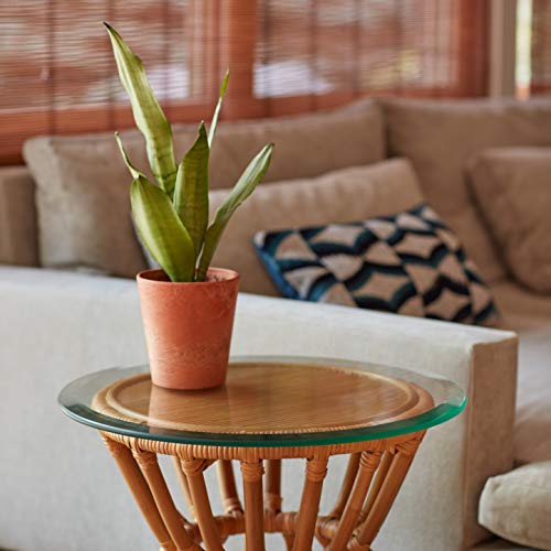 image for The Better Bevel 16 inch Round Glass Table Top - Clear Tempered Glass 