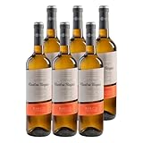 Cuatro Rayas Vendimia Nocturna Verdejo - Vino Blanco DO Rueda (6 Botellas x 750ml)