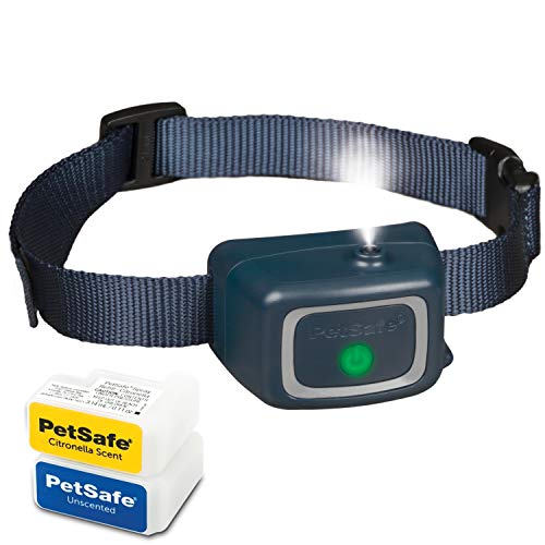 citronella collar petbarn