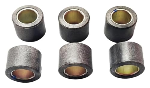 Poulie d'embrayage à variateur 20g pour kit d'entraînement Forza 350 - 2