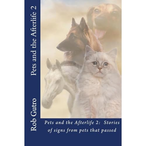 Pets and the Afterlife 2 by Rob Gutro episode artwork