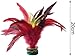 Kryoflare Chinese Jianzi Shuttlecock Set, Colorful Feathers, Indoor Outdoor Sports Equipment， Fadeless Colorful Feathers Shuttlecock for Indoor and Outdoor Tennis and Racquet Sports