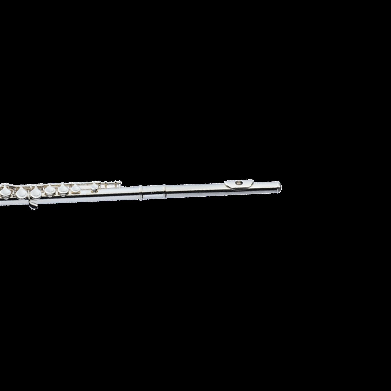 Classic Flûte Traversière Flûte À 16 Trous Fermés En C Plaqué Argent Pour Débutant Instrument Professionnel Pour Examen Performance Professionnelle