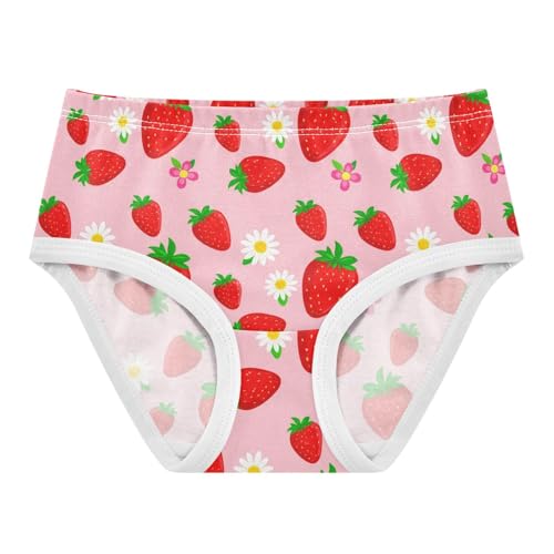 Fruit Strawberry Flowers Floral Pink Toddler Girls's Underwear 2T 2301892