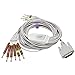 Price comparison product image sino-k Medical Compatible ECG/EKG Cable for Nihon Kohden BJ-902D 10 Leads Wires 15 Pins Connector IEC Banana 4.0mm FDA/CE Approved SK1210B