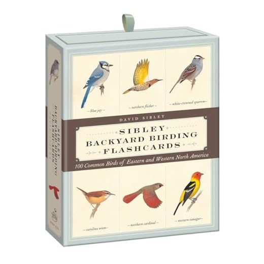 Sibley Backyard Birding Flashcards: 100 Common Birds of Eastern and Western North America
