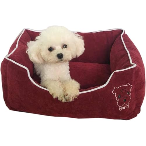 [otoye]ybgpxbh NbV }bg  L   ^ ^ ^  H~ xbh  I[V[Yp (Cbh,M)