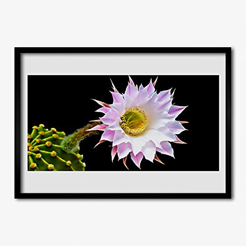Affiche avec cadre salon cuisine Tulup fleur déco murale grand format