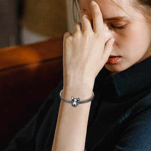 Image of GNOCE Pet Dog Bowl Bead Charm For Women, S925 Sterling Silver Bead Charm NecklaceBracelet for Her, Jewelry Gift