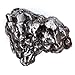 DANCING BEAR Real Meteorite Extra Large (20-32g) Genuine from Campo Del Cielo Argentina, Certificate of Authenticity, Display Case, ID Card, Space Rock, Assembled in the USA