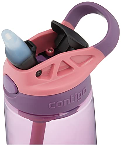 Contigo Cleanable 14Oz Pp Eggplant Punch Waterbottle #TOP1