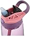 Contigo CLEANABLE 14OZ PP Eggplant Punch Waterbottle