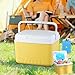 Stgfyxgs Insulated Ice Cooler Camping Case Ice Chest Box Organizer for Fishing Camping Barbecue, 5L