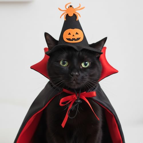 Disfraz Halloween 2 piezas con capa y sombrero para mascotas miniatura 4