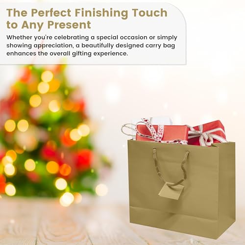 Novel Box Gold Gift Bags with Handles 10 Pack 9.25x3.75x7.25 Inches Wide Paper Bulk Gift Bags for Business, Shopping, Birthday, Party Favor - Euro Tote Paper Bag for Groceries & Personal Use