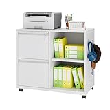 NODHM Lateral 2 Drawer Filing Cabinet with Lock, Mobile File Cabinet on Wheels, Printer Stand with Storage for Legal/Letter/A4 File Folders(White)