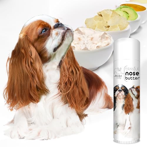 Image of The Blissful Dog English Toy Spaniel Unscented Nose Butter