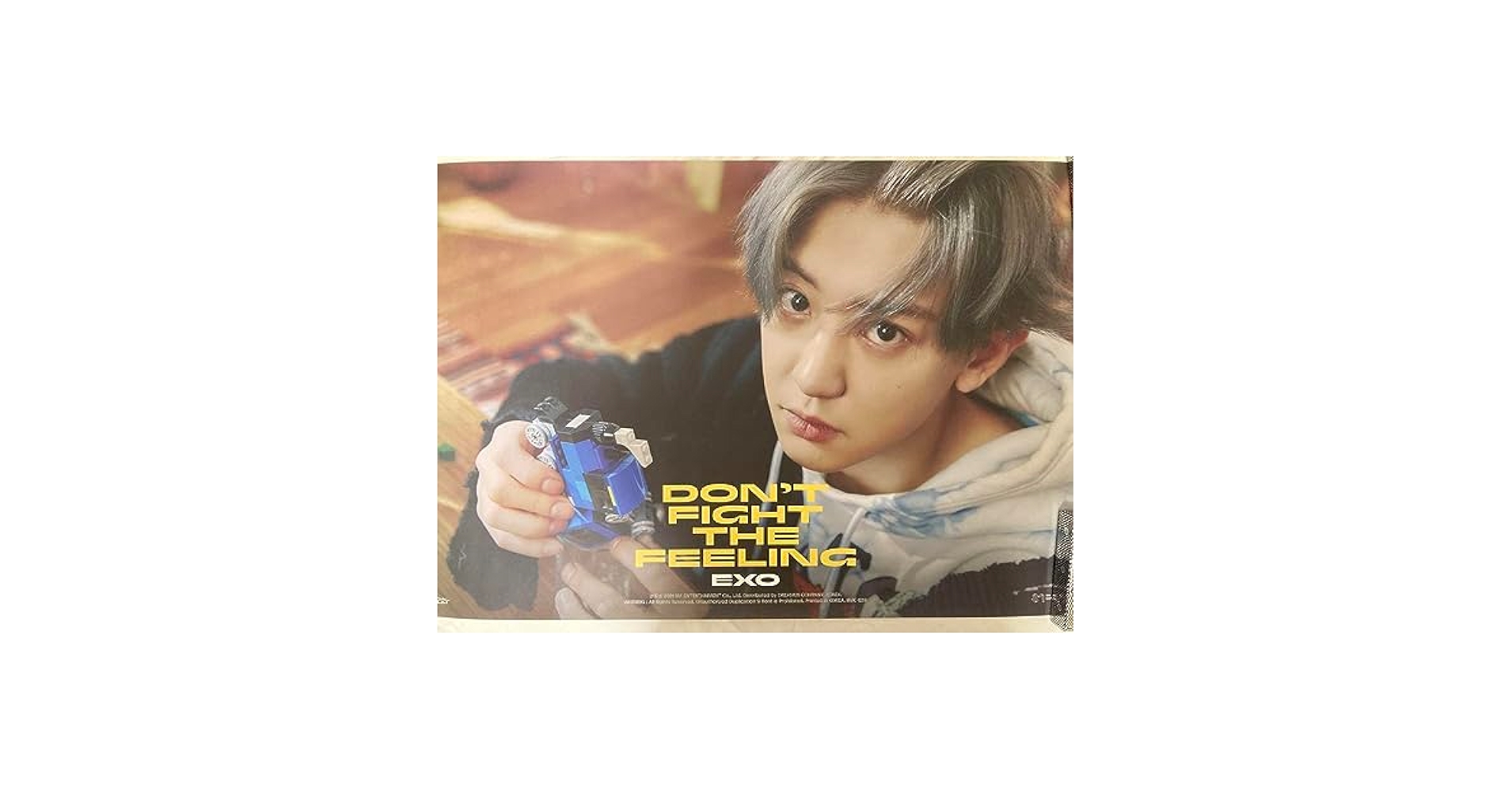 Amazon.co.jp: EXO チャニョル アルバム ポスター DFTF : ホビー
