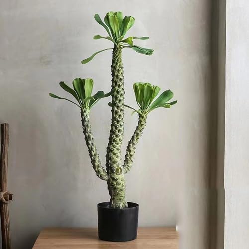 [LJKI] �ϗt�A�� �t�F�C�N�O���[�� �T�{�e�� ��Ύ� ���� �C���e���A�O���[�� ��^ �t�F�C�N�ϗt�A�� �l�H�ϗt�A�� ���A�� �O���[��1 �C���e���A �V���v�� �t�F�C�N�� 80cm �썑 ���� �����s�v ���Q�̐S�z�Ȃ� ���� ���r���O �I�t�B�X �J