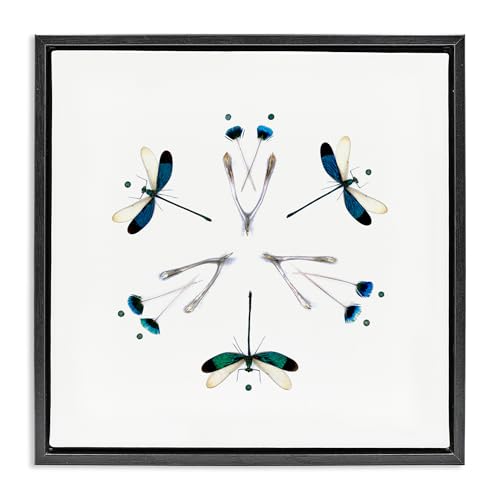 Dragonfly Symmetry Nature, 24 x 24 Inch Canvas in Floater Frame