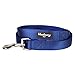 Blueberry Pet Essentials Royal Blue Dog Leash for Small -5' * 5/8