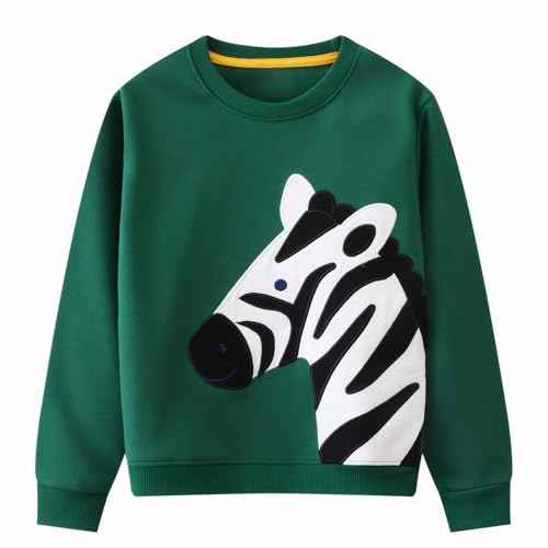 Image of Popshion Toddler Boys Sweatshirt Cotton Lightweight Kids Winter Warm Sweater Crewneck Pullover Tops