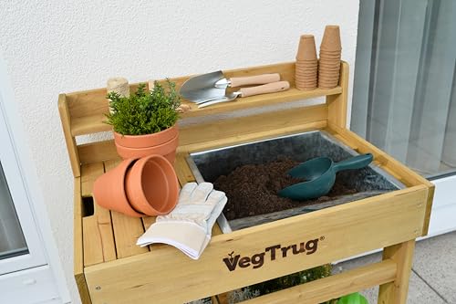 VegTrug® Pflanztisch Deluxe, Natur, 100% FSC zertifiziertes Holz, 77 x 46 x 94 cm, Werkzeugfach, 3 Haken