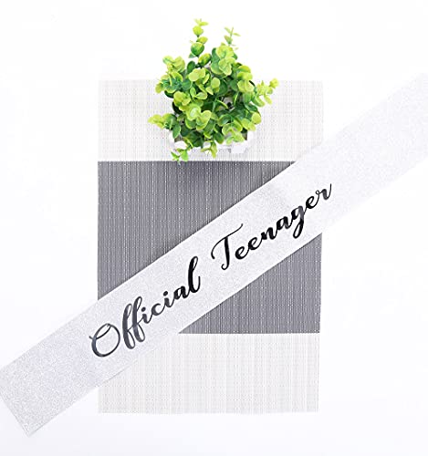 Topfunyy 13th Birthday Tiara and Sash Set - Teenager Sash Silver Crystal Crown Birthday Gift for Girls 13th Birthday Party Supplies - Image 2