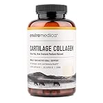 Collagen Supplements Vitamin B