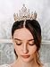 AW BRIDAL Gold Bridal Crowns for Wedding Tiaras and Crowns for Women Birthday Queen Crown Cake Topper Halloween Costume Hair Accessories