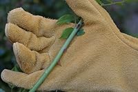 ROSTAING Gants RONCIER - Paire de Gants de Jardinage - Protection Cuir - Gants de Jardinage pour les... #5