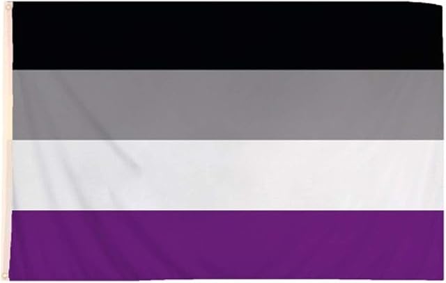 Lizzy® Deluxe 5 x 3 Foots Gay Pride Rainbow Flag Banner 100% Polyester (Asexual)