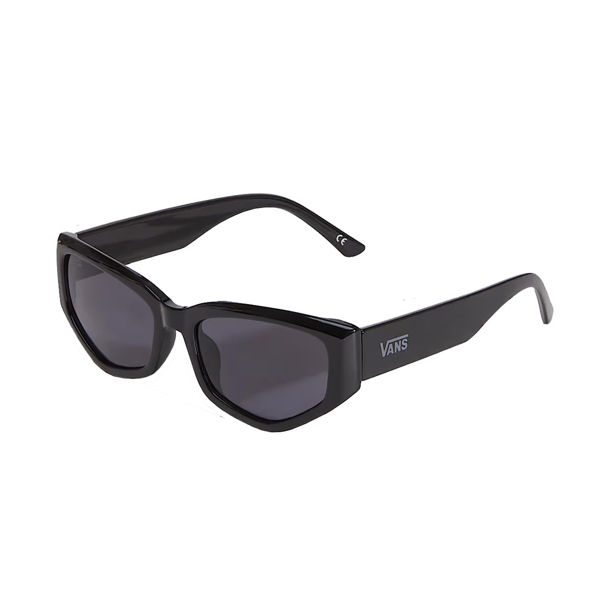Vans Leyden Sunglasses, Black