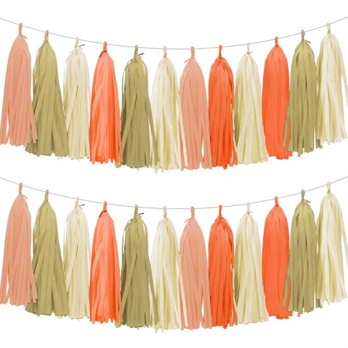 AimtoHome Tissue Paper Tassel Garland Banner, 20 Pack, Pink Orange Ivory Brown, Boho Party Decorations for Birthday, Baby Shower,Bridal