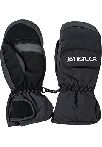 WHISTLER Wido Guantes Hombre en color negro talla 6 para invierno