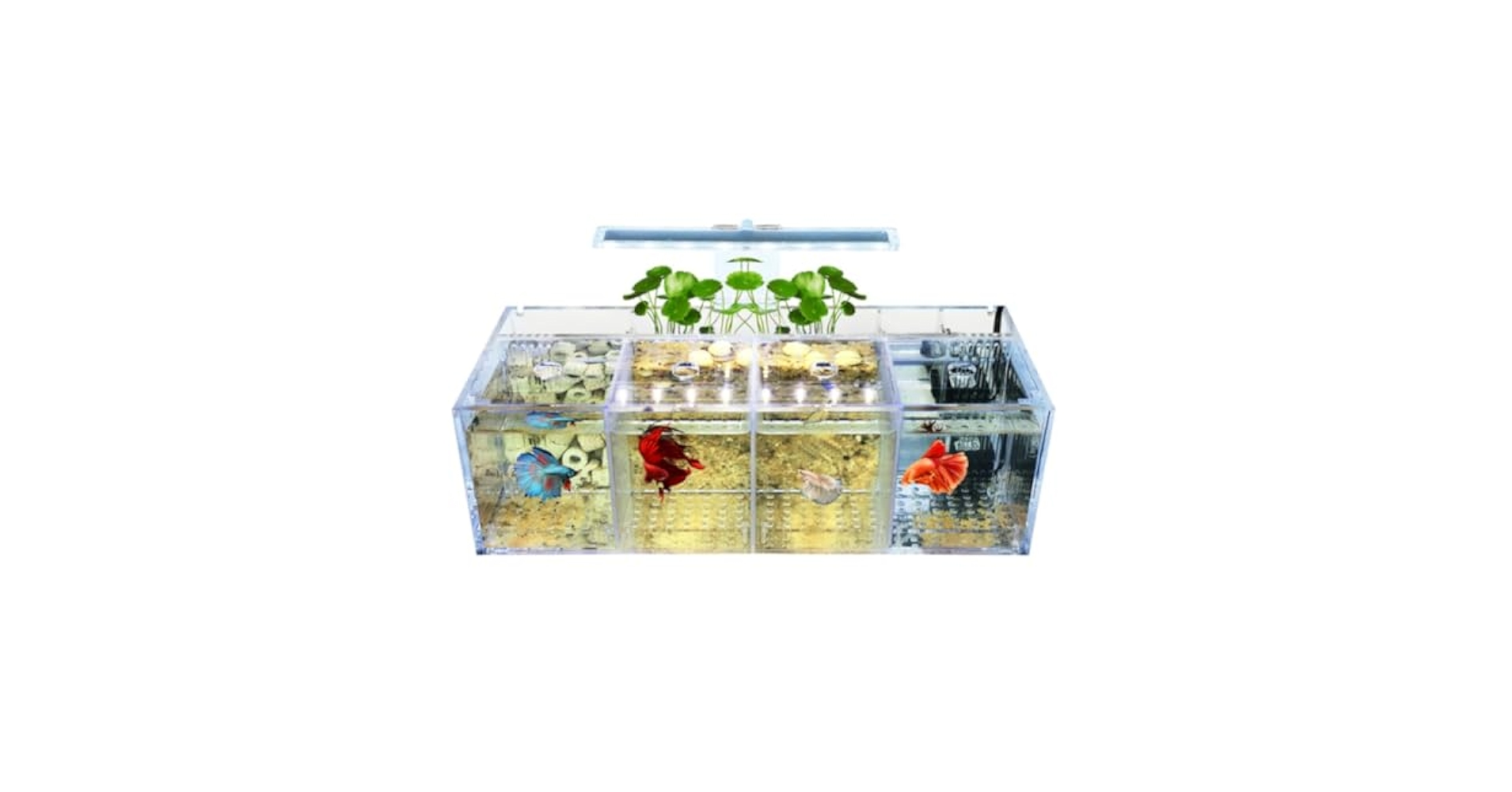 ケンページ　aquarium アクリル画 ケンページ aquarium アクリル画 ケン様専用ページ aquarium