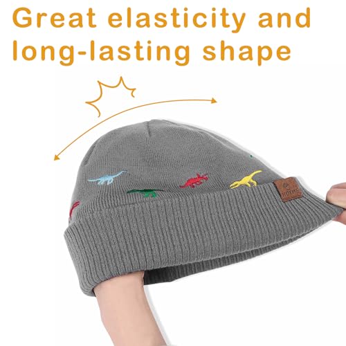 Baby Boy Winter Beanies Hat Cute Toddler Kids Warm Knit Embroidered Dinosaur Hats2