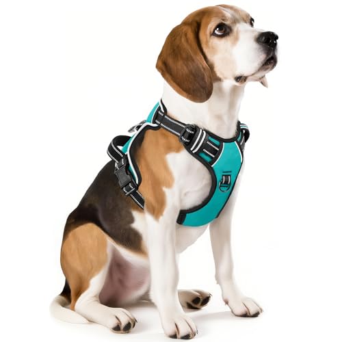 HEELE Dog Harness Medium No Pull Dog Vest Harness with Handle Reflective Pet Harness for Outdoor Training Walking, Turquoise, M