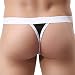 YiZYiF Men's Bulge Pouch Mesh G-Sting Micro Bikini Underwear Sold by SHIFANG (Large(Waistline 29.0-44.0/74-112cm), Black)